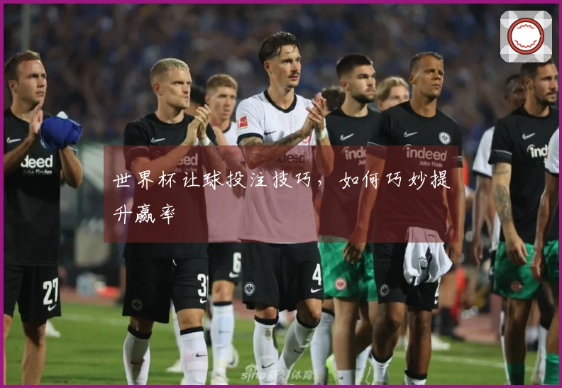 世界杯让球投注技巧，如何巧妙提升赢率