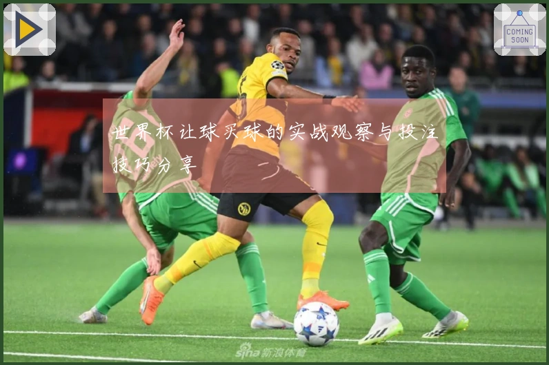 世界杯让球买球的实战观察与投注技巧分享