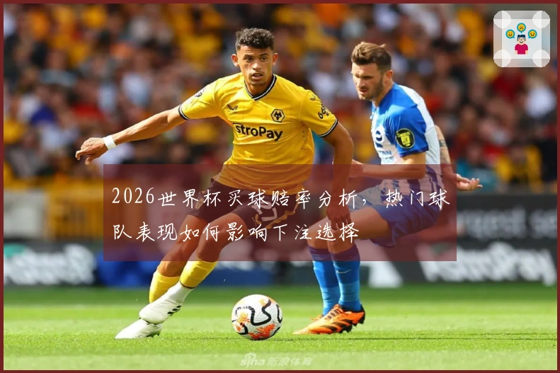 2026世界杯买球赔率分析，热门球队表现如何影响下注选择