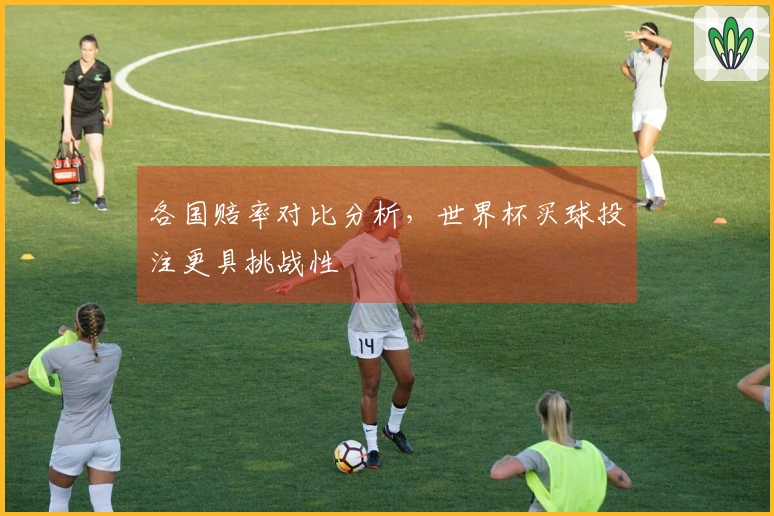 各国赔率对比分析，世界杯买球投注更具挑战性