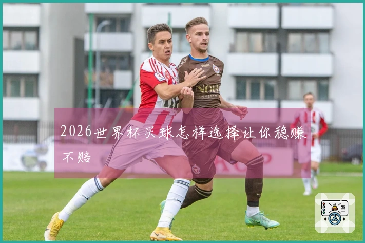 2026世界杯买球怎样选择让你稳赚不赔