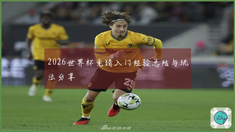2026世界杯竞猜入门经验总结与玩法分享