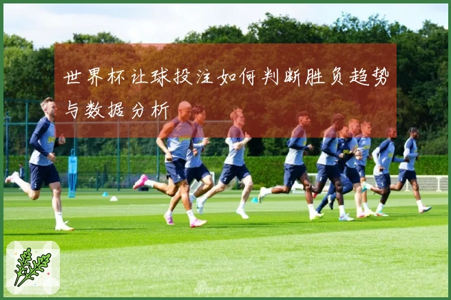 世界杯让球投注如何判断胜负趋势与数据分析