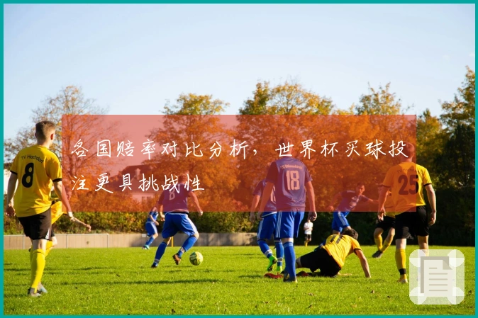 各国赔率对比分析，世界杯买球投注更具挑战性