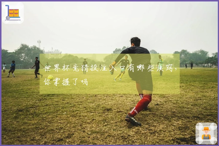 世界杯竞猜投注入口有哪些诀窍，你掌握了吗