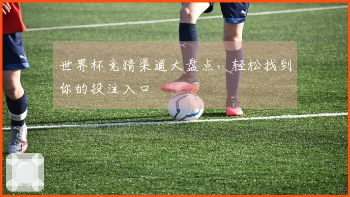 世界杯竞猜渠道大盘点，轻松找到你的投注入口