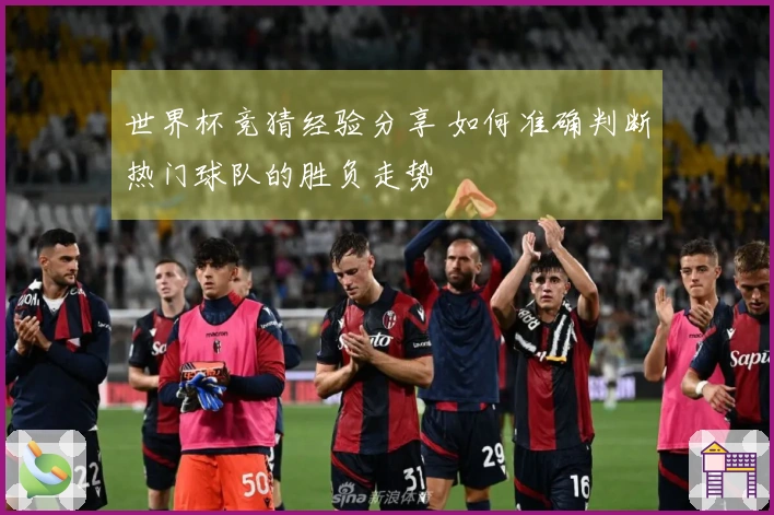 世界杯竞猜经验分享 如何准确判断热门球队的胜负走势