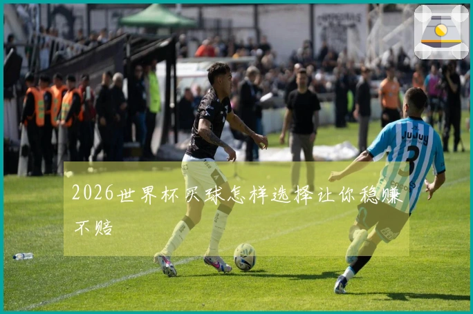 2026世界杯买球怎样选择让你稳赚不赔