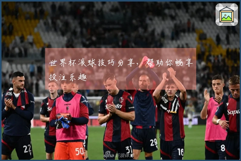 世界杯滚球技巧分享，帮助你畅享投注乐趣