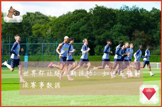 世界杯让球判断技巧：如何正确解读赛事数据