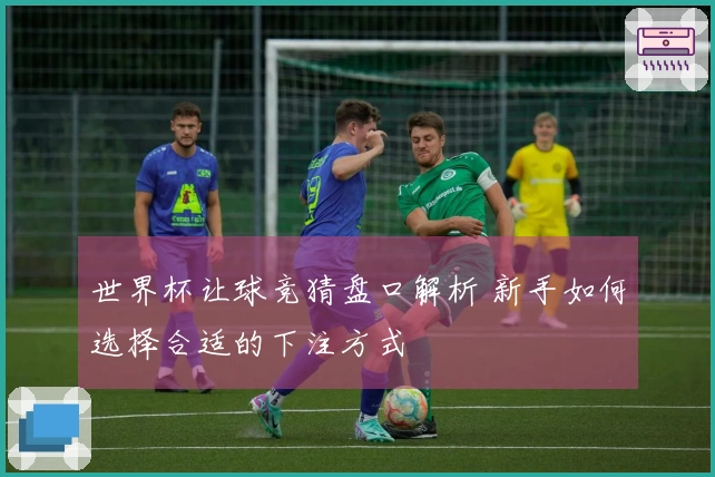 世界杯让球竞猜盘口解析 新手如何选择合适的下注方式
