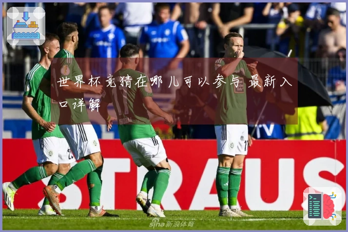 世界杯竞猜在哪儿可以参与 最新入口详解