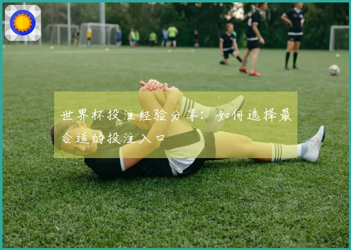 世界杯投注经验分享：如何选择最合适的投注入口