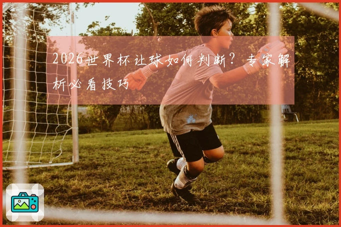 2026世界杯让球如何判断？专家解析必看技巧